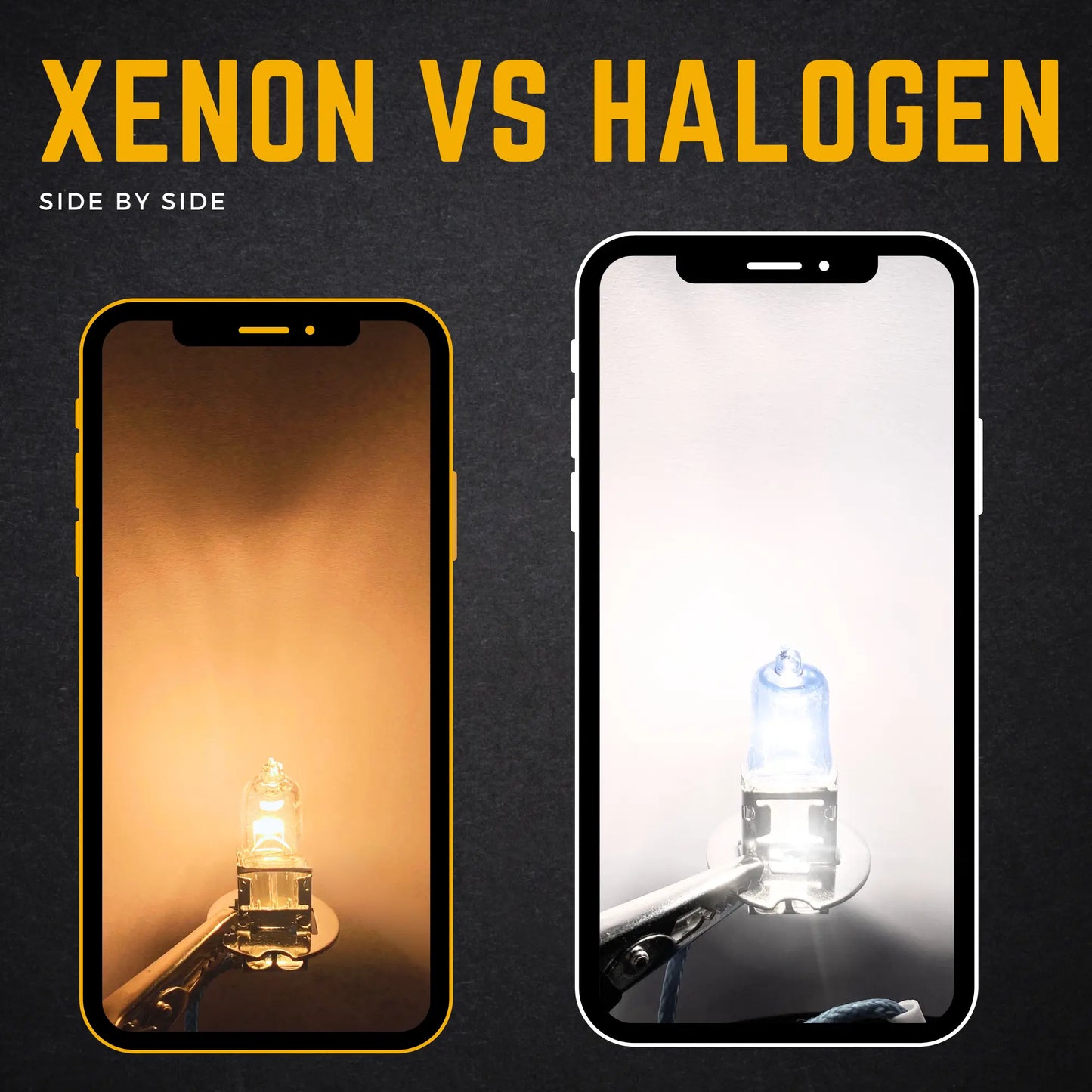 453 Xenon vs Halogen  - Argo