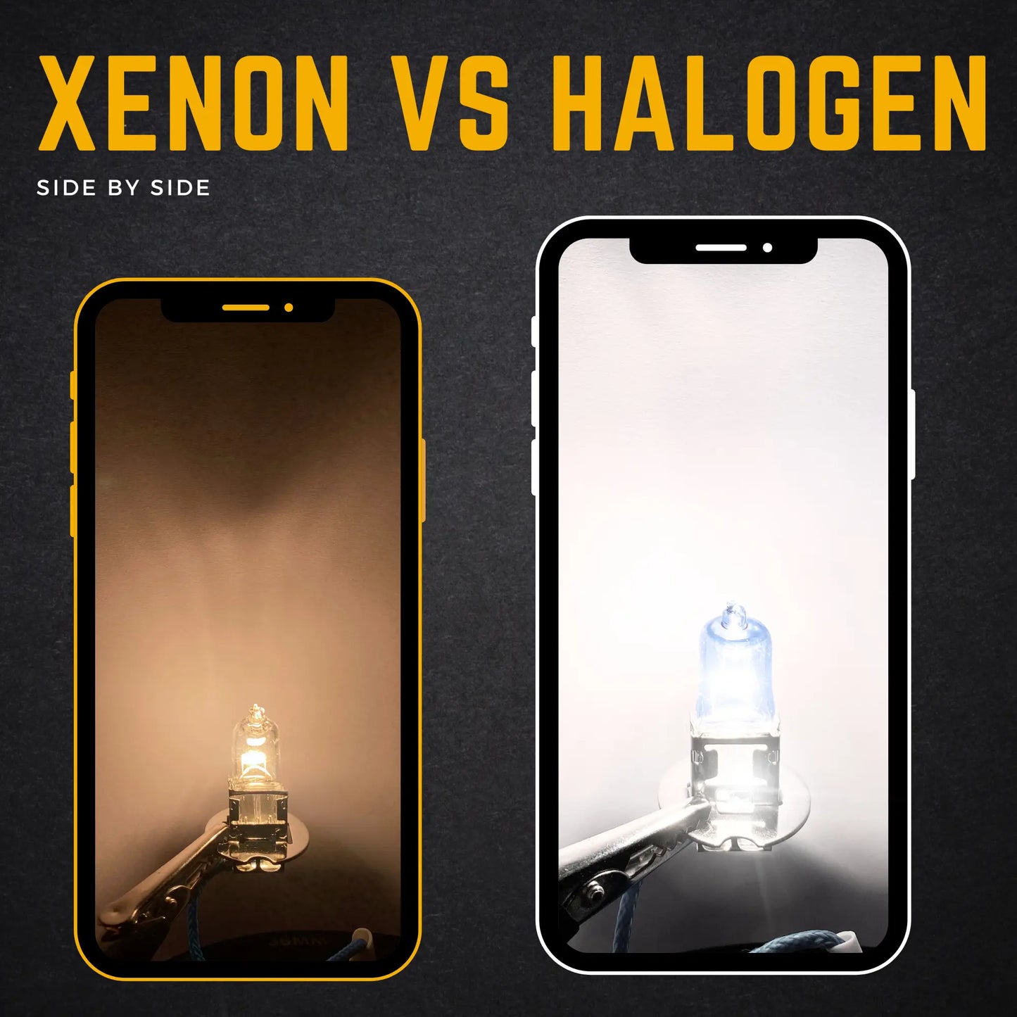 453 Xenon vs Halogen  - Argo