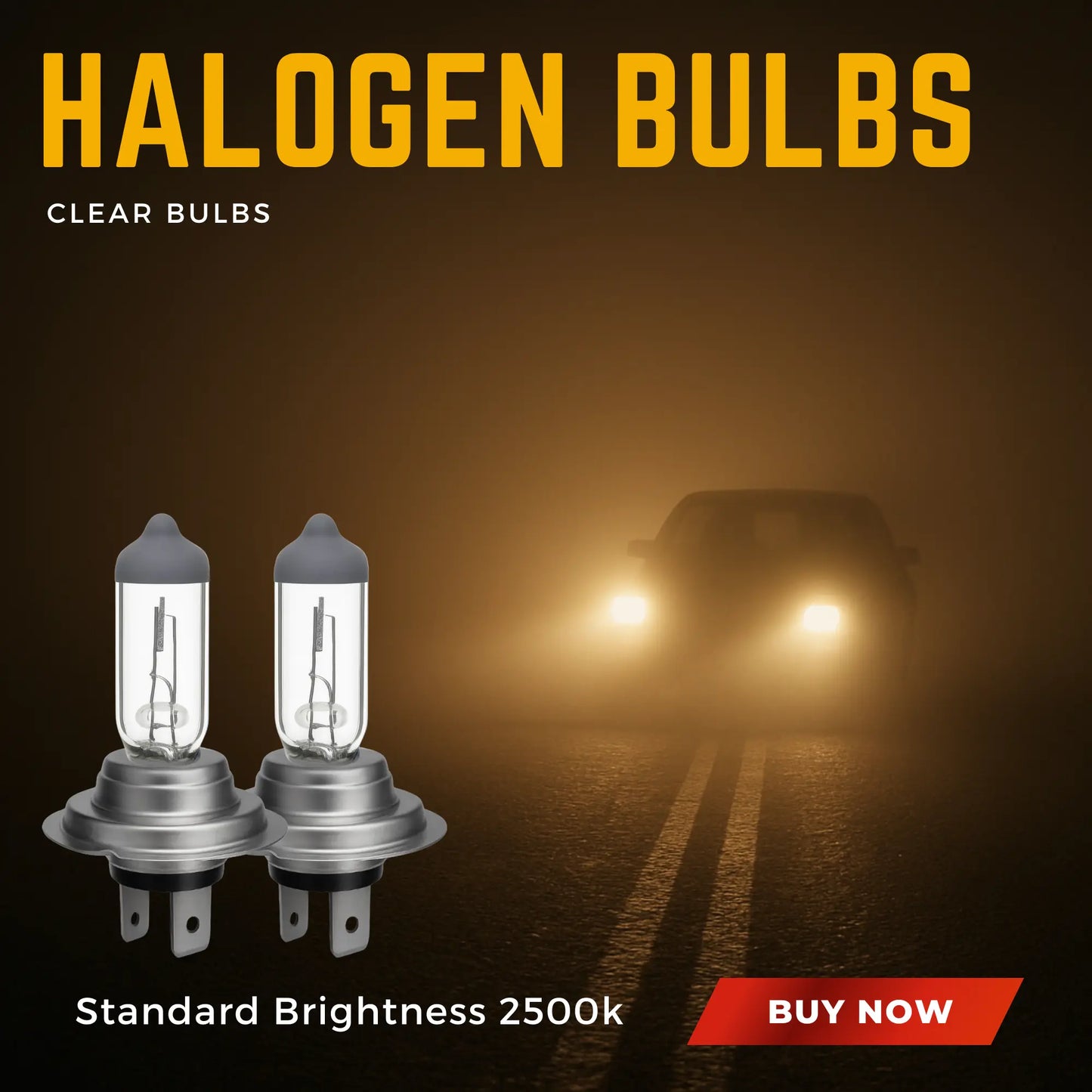 H7 Bulbs Shining In Headlights - Argo