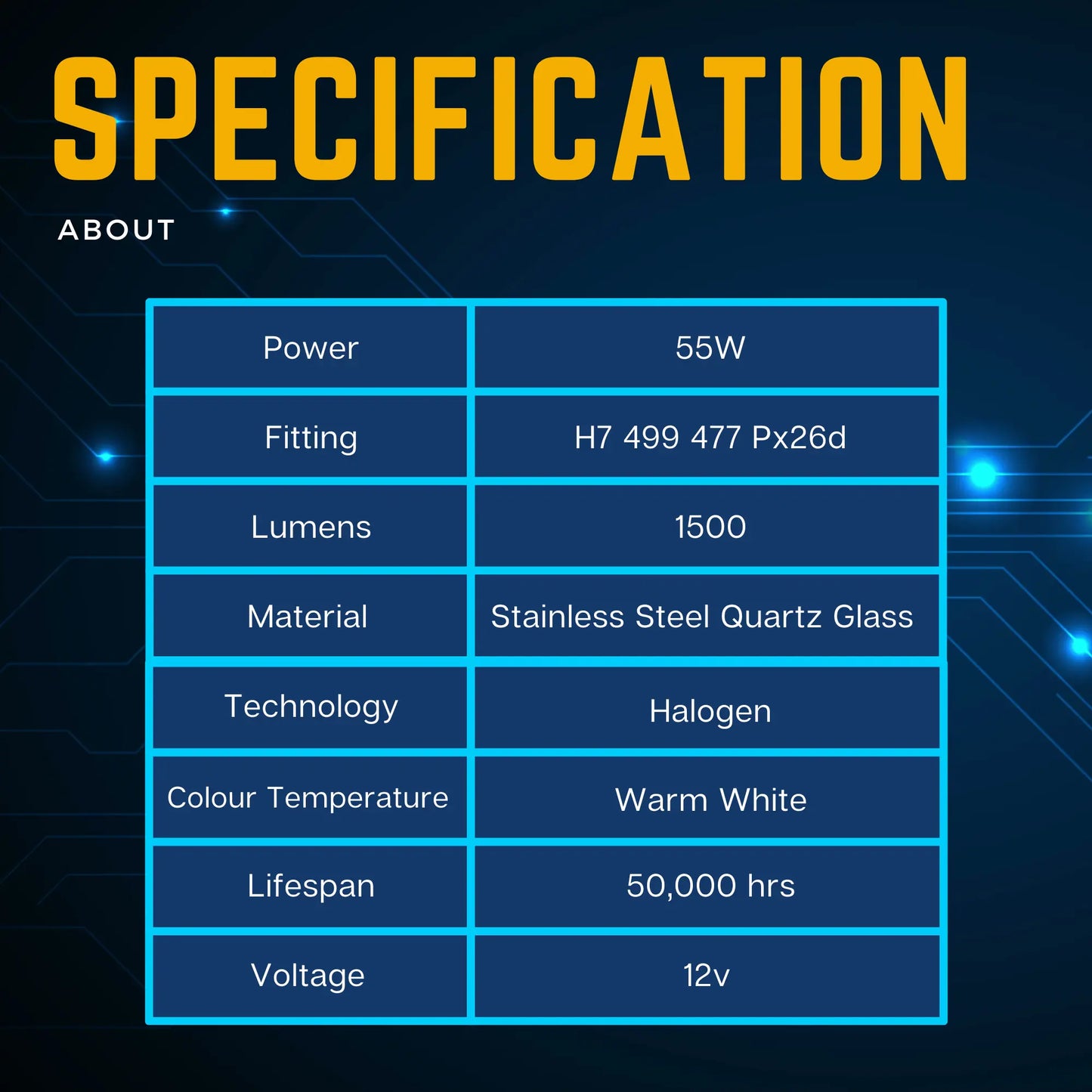 About H7 Bulbs - Argo