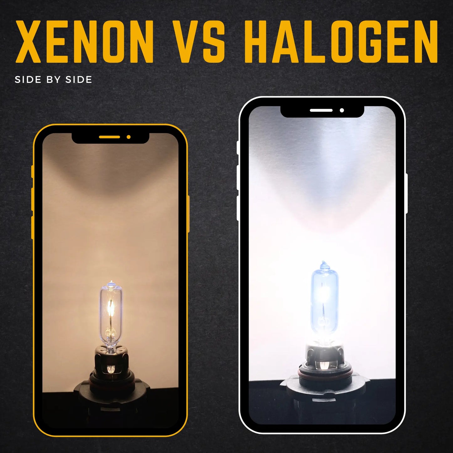 Difference Between Halogen And Xenon H9 Bulbs - Argo