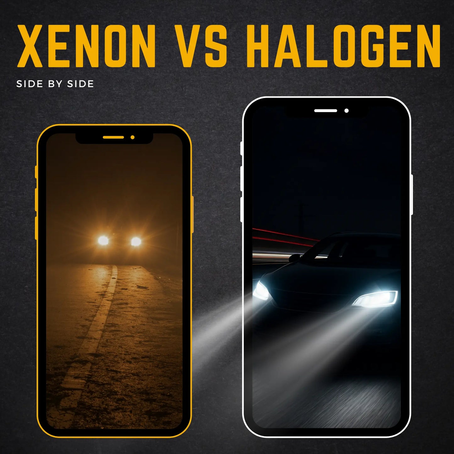 Halogen vs Xenon - Argo