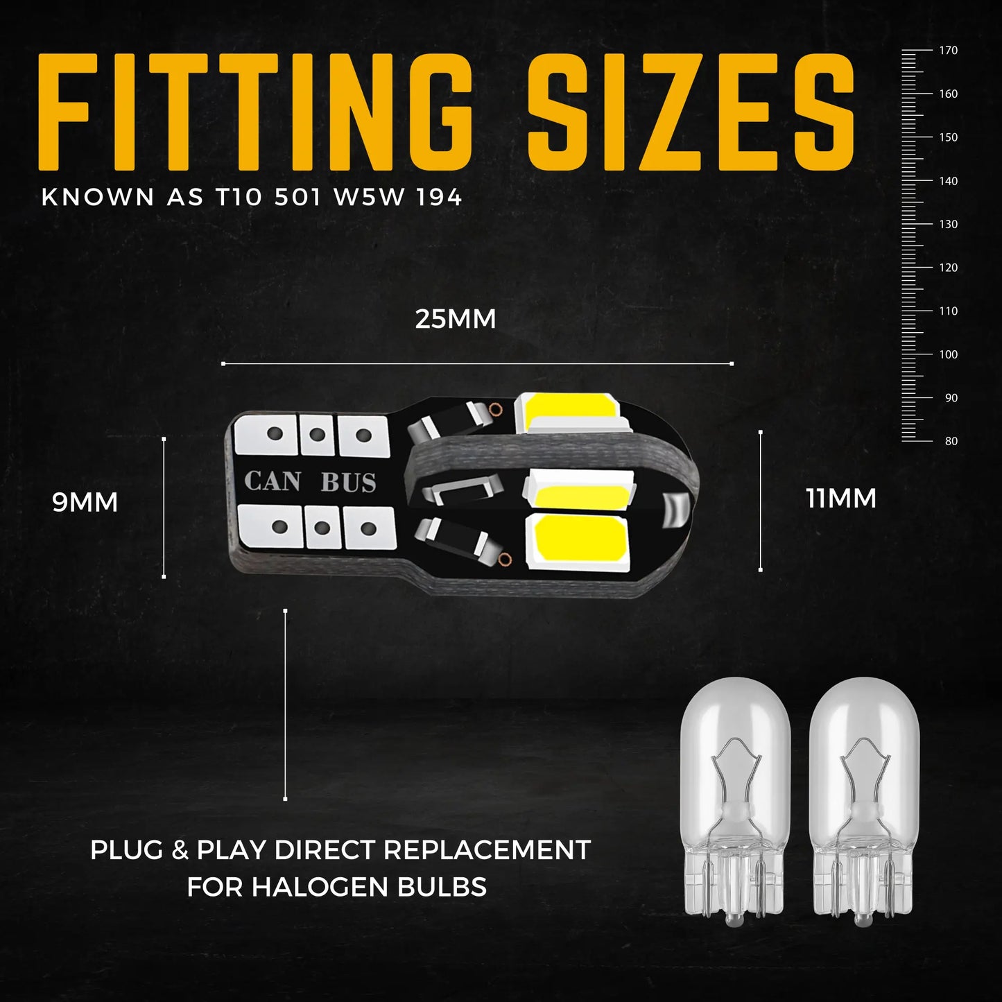 501 Bulb Dimensions - Argo